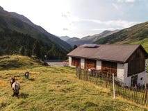 Typische mening in de Alpen royalty-vrije stock afbeelding Typische mening in de Alpen royalty-vrije stock afbeelding
