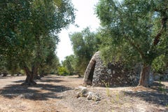 Typische trullobouw op het plattelandsgebied van Apulia stock fotografie Typische trullobouw op het plattelandsgebied van Apulia stock fotografie