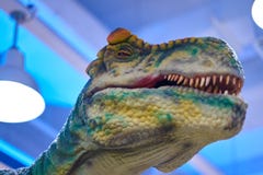 Tyrannosarie dinosauriehuvudskott arkivbild Tyrannosarie dinosauriehuvudskott arkivbild