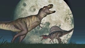 Tyrannosaurus Rex And Spinosaurus In Front Of The Moon Royalty Free Stock Image