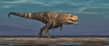 Tyrannosaurus Rex on white background Stock Photo Tyrannosaurus Rex on white background Stock Photo