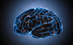 Tänkande prosess Neuronsystem Mänsklig anatomi överförande pulsar och utveckling av information Fotografering för Bildbyråer Tänkande prosess Neuronsystem Mänsklig anatomi överförande pulsar och utveckling av information Fotografering för Bildbyråer