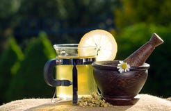 Té y maja de madera con las manzanillas foto de archivo Té y maja de madera con las manzanillas foto de archivo