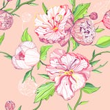 tła kwiatów peoni menchie bezszwowe ilustracja wektor tła kwiatów peoni menchie bezszwowe ilustracja wektor