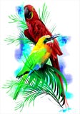 Uccelli tropicali (Vettore) royalty illustrazione gratis Uccelli tropicali (Vettore) royalty illustrazione gratis