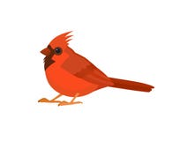 Uccello con le piume rosse illustrazione di stock Uccello con le piume rosse illustrazione di stock