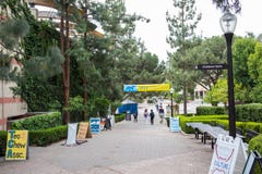 UCLA-Campus Stock Afbeelding UCLA-Campus Stock Afbeelding