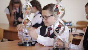 Ucznie w mundurku szkolnym studiują układ dna obsiadanie w sali lekcyjnej Pojęcie szkoła zdjęcie wideo Ucznie w mundurku szkolnym studiują układ dna obsiadanie w sali lekcyjnej Pojęcie szkoła zdjęcie wideo