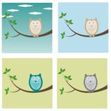 Uil vector illustratie Uil vector illustratie