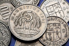 ukuwać nazwę Mauritius ukuwać nazwę Mauritius