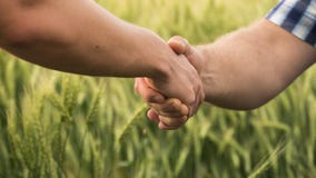 Um aperto de mão firme entre dois fazendeiros masculinos no fundo de um campo de trigo fotos de stock Um aperto de mão firme entre dois fazendeiros masculinos no fundo de um campo de trigo fotos de stock