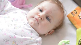 Um bebê pequeno bonito vídeos de arquivo Um bebê pequeno bonito vídeos de arquivo