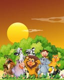 Um grupo de animais na floresta ilustração stock Um grupo de animais na floresta ilustração stock