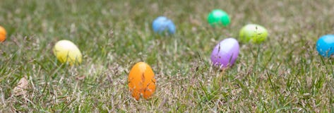 Um grupo de ovos da páscoa como um fundo pronto para ser caçado imagem de stock Um grupo de ovos da páscoa como um fundo pronto para ser caçado imagem de stock