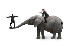 Um homem que usa o elefante outro da equitação do orador que equilibra no tronco fotos de stock royalty free Um homem que usa o elefante outro da equitação do orador que equilibra no tronco fotos de stock royalty free