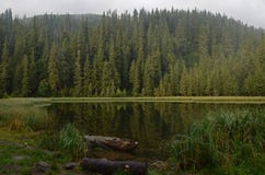 Um lago da montanha A névoa nas montanhas, cenário nevoento da manhã fantástica, montes cobriu a floresta da faia, Ucrânia, Carpa foto de stock Um lago da montanha A névoa nas montanhas, cenário nevoento da manhã fantástica, montes cobriu a floresta da faia, Ucrânia, Carpa foto de stock