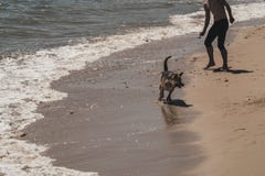 Um menino joga com seu cão no litoral foto de stock Um menino joga com seu cão no litoral foto de stock