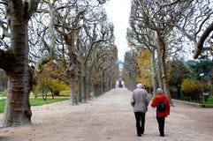 Um par idoso que anda ao longo do parque em Paris, querendo saber em uma aleia entre as árvores altas fotos de stock Um par idoso que anda ao longo do parque em Paris, querendo saber em uma aleia entre as árvores altas fotos de stock