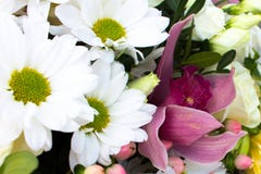 Um ramalhete bonito da variedade bonita de flores imagens de stock Um ramalhete bonito da variedade bonita de flores imagens de stock