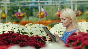 Um vendedor fêmea está trabalhando em um berçário com flores Contagens com uma tabuleta filme Um vendedor fêmea está trabalhando em um berçário com flores Contagens com uma tabuleta filme