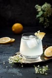 Um vidro da gim caseiro do elderflower ácida ou da limonada decorada com os elderflowers recentemente escolhidos imagens de stock royalty free Um vidro da gim caseiro do elderflower ácida ou da limonada decorada com os elderflowers recentemente escolhidos imagens de stock royalty free