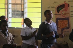 Uma escola rural no subúrbio de Arusha, estudantes africanos em classes de química imagens de stock royalty free Uma escola rural no subúrbio de Arusha, estudantes africanos em classes de química imagens de stock royalty free