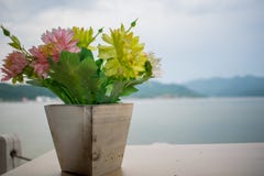Uma flor pequena que esteja em um potenciômetro de madeira Na parte traseira é o rio o maior em Europa, o Danúbio imagem de stock royalty free Uma flor pequena que esteja em um potenciômetro de madeira Na parte traseira é o rio o maior em Europa, o Danúbio imagem de stock royalty free