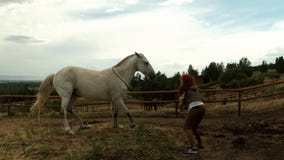 Aprenda Brincando o Movimento do Cavalo