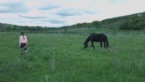 Uma jovem mulher está andando ao longo do campo ao lado de um cavalo preto e branco Menina bonita em um campo com um cavalo video estoque Uma jovem mulher está andando ao longo do campo ao lado de um cavalo preto e branco Menina bonita em um campo com um cavalo video estoque