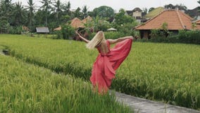 Uma menina europeia aprecia a solidão em um campo do arroz na vila de Bali, rodando no terraço, guardando sua saia video estoque Uma menina europeia aprecia a solidão em um campo do arroz na vila de Bali, rodando no terraço, guardando sua saia video estoque