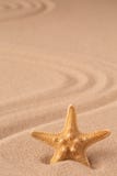Uma ?nica estrela ou estrela do mar de mar na areia tropical da praia fotografia de stock royalty free Uma ?nica estrela ou estrela do mar de mar na areia tropical da praia fotografia de stock royalty free