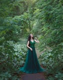 Uma ninfa da floresta, um dríade em um vestido luxuoso, esmeralda, anda na princesa da floresta com cabelo saudável, longo, preto imagens de stock royalty free Uma ninfa da floresta, um dríade em um vestido luxuoso, esmeralda, anda na princesa da floresta com cabelo saudável, longo, preto imagens de stock royalty free