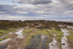Uma praia só e abandonada no norte de Escócia foto de stock Uma praia só e abandonada no norte de Escócia foto de stock