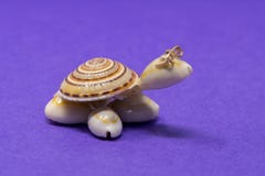 Uma tartaruga decorativa feita dos shell fotografia de stock Uma tartaruga decorativa feita dos shell fotografia de stock