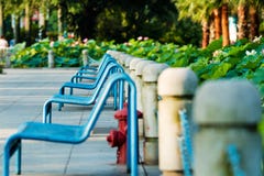 Un banc dans un parc communautaire photographie stock libre de droits Un banc dans un parc communautaire photographie stock libre de droits