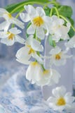 Un beau bouquet des fleurs de ressort image stock Un beau bouquet des fleurs de ressort image stock