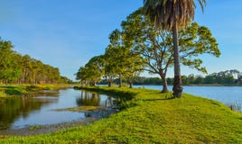 Un beau jour pour une promenade et la vue de l'île chez John S Taylor Park dans Largo, la Floride photographie stock Un beau jour pour une promenade et la vue de l'île chez John S Taylor Park dans Largo, la Floride photographie stock