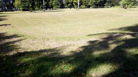Un campo da golf o un paesaggio di estate del campo fotografie stock libere da diritti Un campo da golf o un paesaggio di estate del campo fotografie stock libere da diritti