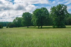 Un campo rurale un bello giorno di primavera immagini stock libere da diritti Un campo rurale un bello giorno di primavera immagini stock libere da diritti