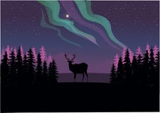 Un cerf commun solitaire regardant fixement les lumières du nord illustration stock Un cerf commun solitaire regardant fixement les lumières du nord illustration stock
