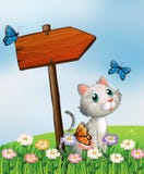 Un chat avec trois papillons près du panneau en bois de flèche Photos stock Un chat avec trois papillons près du panneau en bois de flèche Photos stock