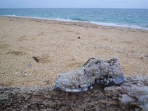 Un chaussure-bateau après un voyage de rond-le-océan Image stock Un chaussure-bateau après un voyage de rond-le-océan Image stock