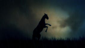 Un cheval épique d'étalon se tenant sur un champ sous une tempête de foudre Un cheval épique d'étalon se tenant sur un champ sous une tempête de foudre