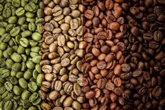 Un collage dei chicchi di caffè che mostrano le varie fasi della torrefazione da diretto crudo all'arrosto italiano fotografia stock Un collage dei chicchi di caffè che mostrano le varie fasi della torrefazione da diretto crudo all'arrosto italiano fotografia stock