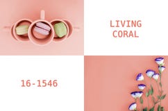 Un collage des photos en couleurs vivant en 2019 le corail photo libre de droits Un collage des photos en couleurs vivant en 2019 le corail photo libre de droits