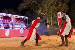 Un combattimento dei due cavalieri Immagine Stock Un combattimento dei due cavalieri Immagine Stock