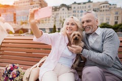 Un couple plus âgé marche dans la place avec son petit chien Ils font un selfie avec un chien photographie stock Un couple plus âgé marche dans la place avec son petit chien Ils font un selfie avec un chien photographie stock