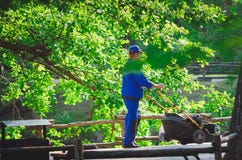 Un empleado del parque de la ciudad está conduciendo un cortacésped Cada mañana en este parque, los trabajadores toman cuidado de fotos de archivo Un empleado del parque de la ciudad está conduciendo un cortacésped Cada mañana en este parque, los trabajadores toman cuidado de fotos de archivo