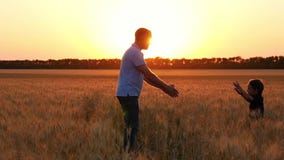 Un enfant heureux court à son père par un champ de blé au coucher du soleil Le père prend son fils dans des ses bras et l'embrass banque de vidéos Un enfant heureux court à son père par un champ de blé au coucher du soleil Le père prend son fils dans des ses bras et l'embrass banque de vidéos