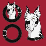 Un ensemble de dessin de vecteur de couleur du chien dans le collier Photo libre de droits Un ensemble de dessin de vecteur de couleur du chien dans le collier Photo libre de droits